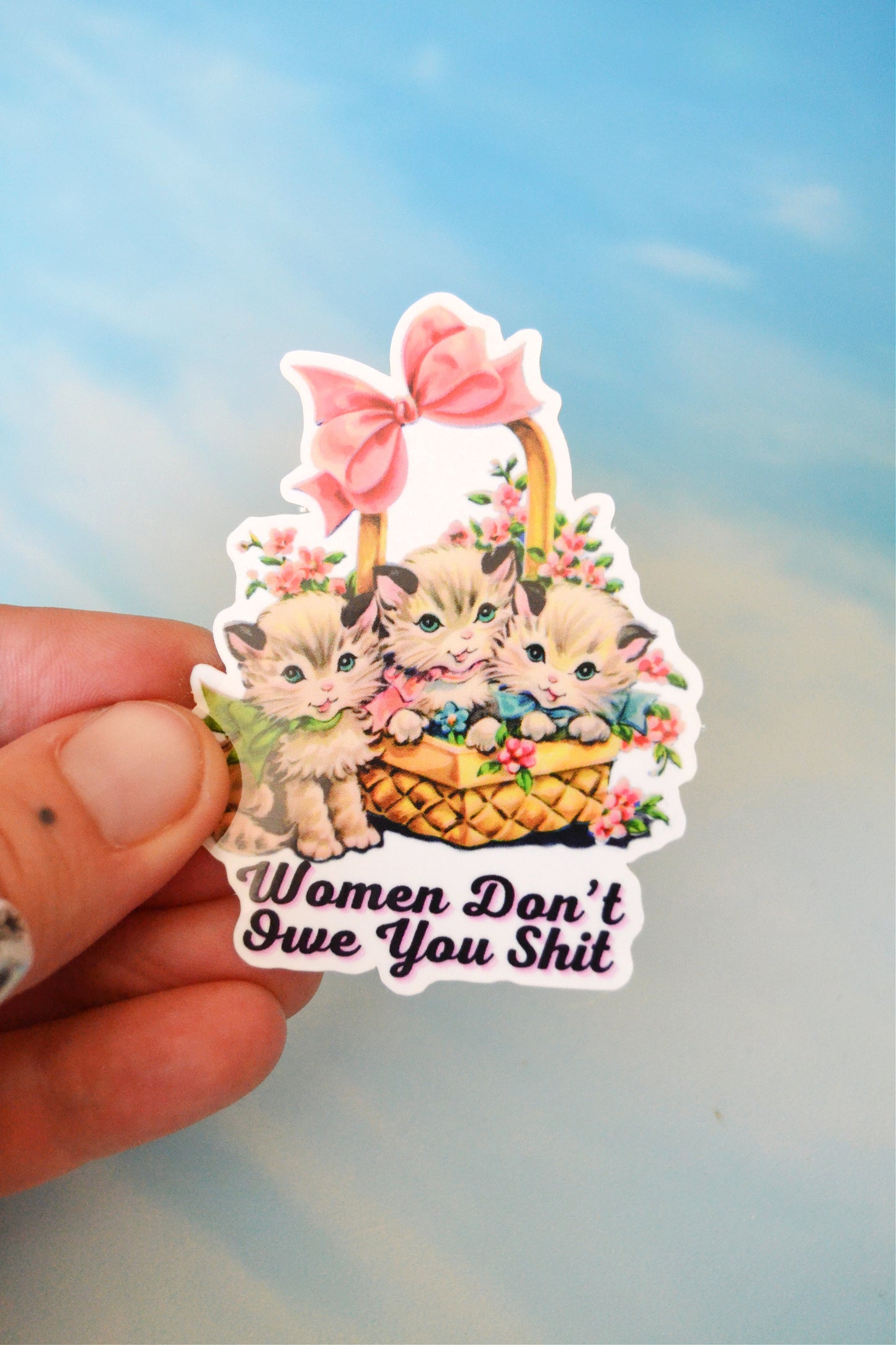 Women Don't Owe You Shit Kitten Sticker