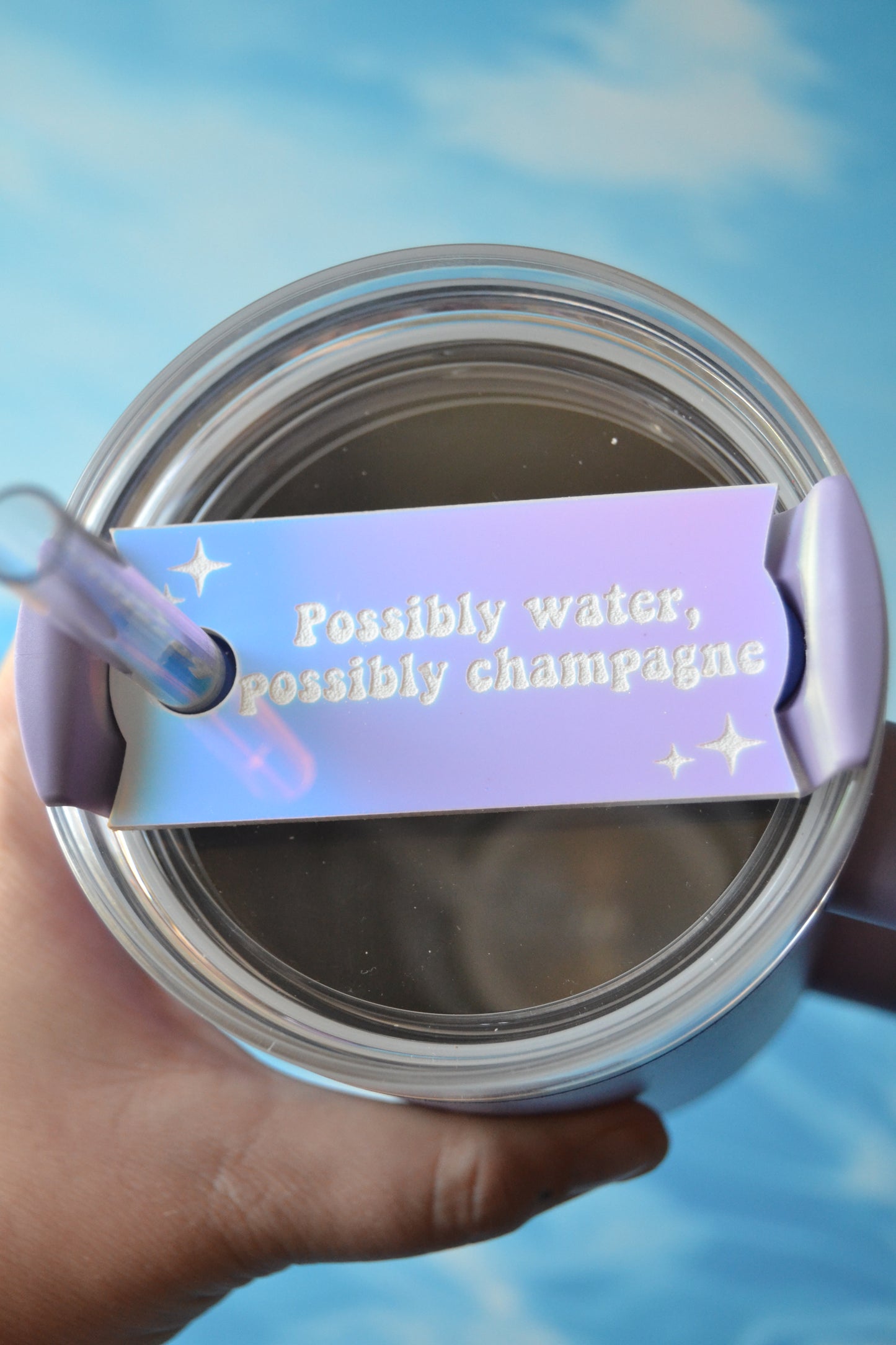 Possibly Water, Possibly Booze Tumbler Topper (MORE OPTIONS!)