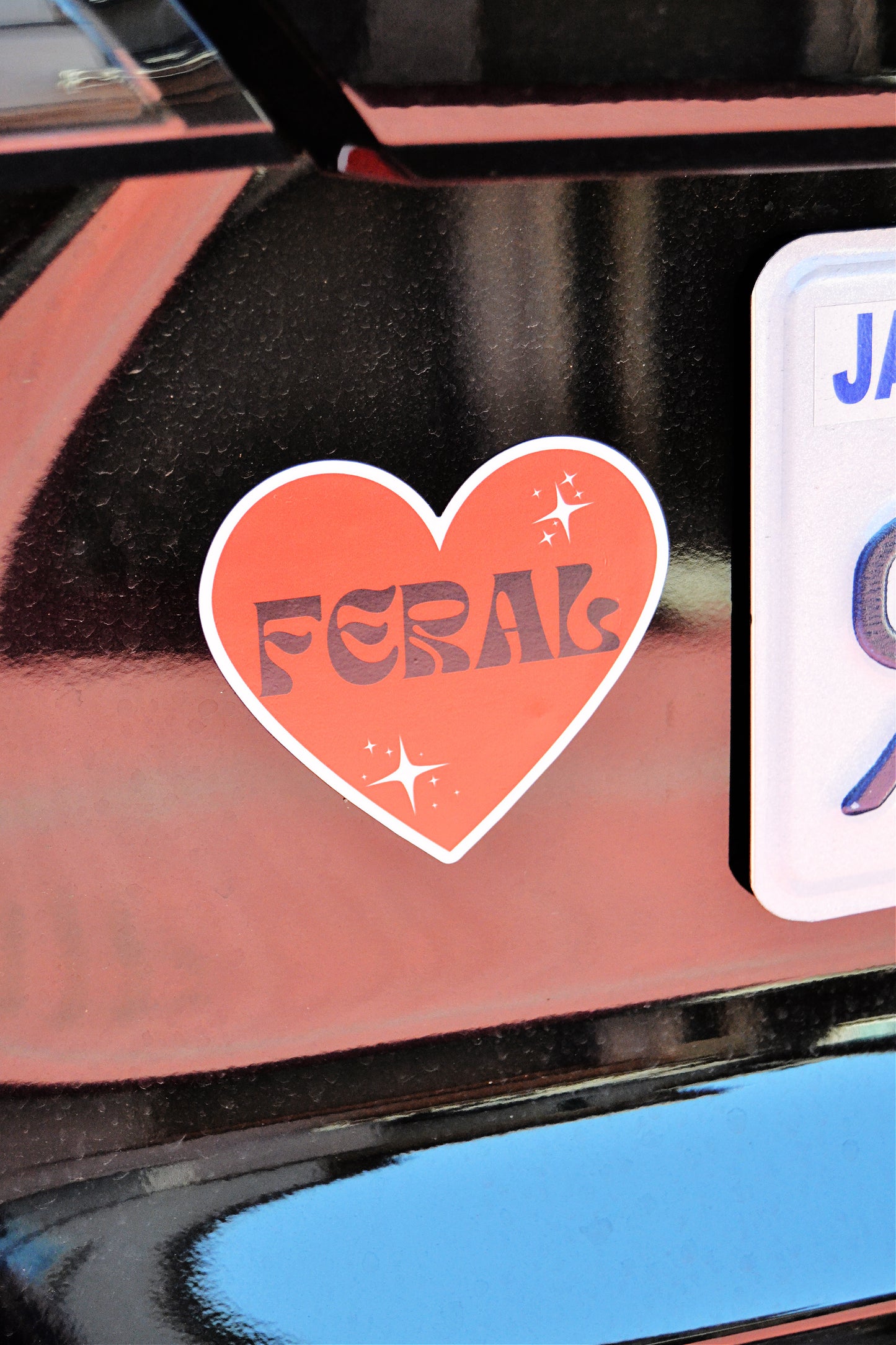 Feral Bumper Magnet