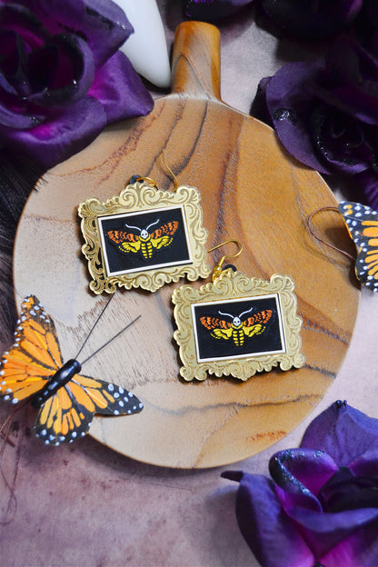 Framed Death Moth Earrings