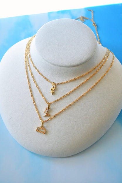 Gold Plated Zodiac Necklace ALL SIGNS!