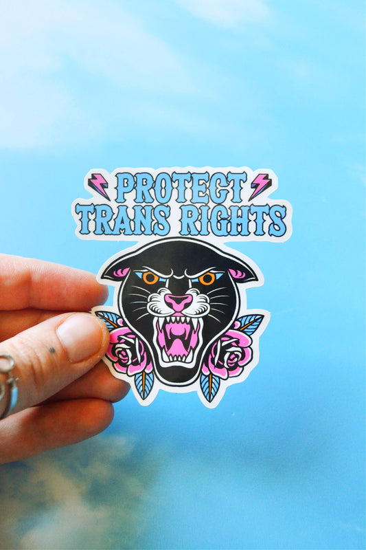 Protect Trans Rights Vinyl Sticker