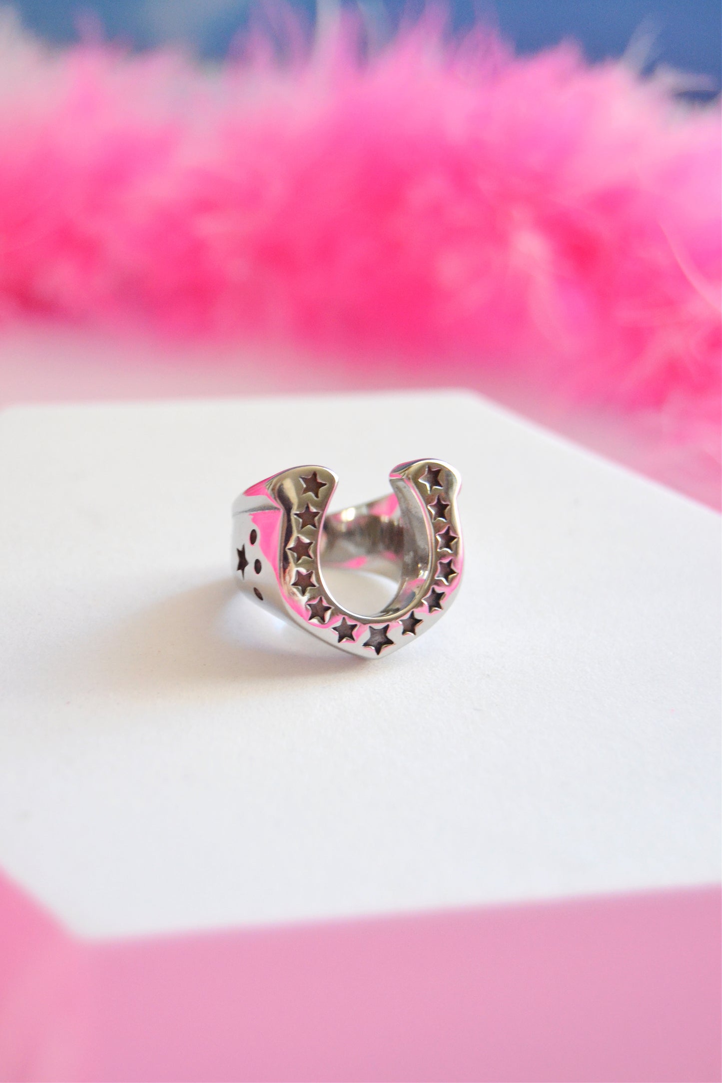 Lucky Horseshoe Stainless Steel Ring